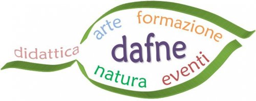 Foto dell'associazione